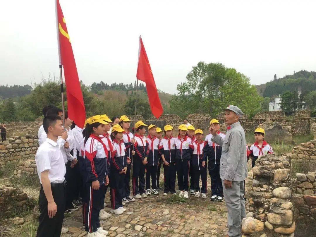 用心做服务 “实”力助营商